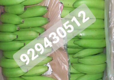 Plátano orgánico por mayor