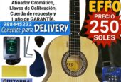 Guitarras en TIENDA EFFO GARANTIZADO