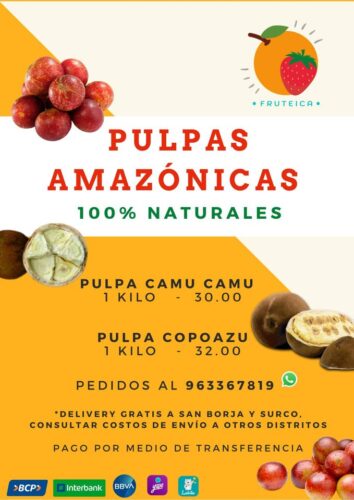 Fresas-Eco-amigables-y-Pulpas-de-Frutas-Amazonicas-1